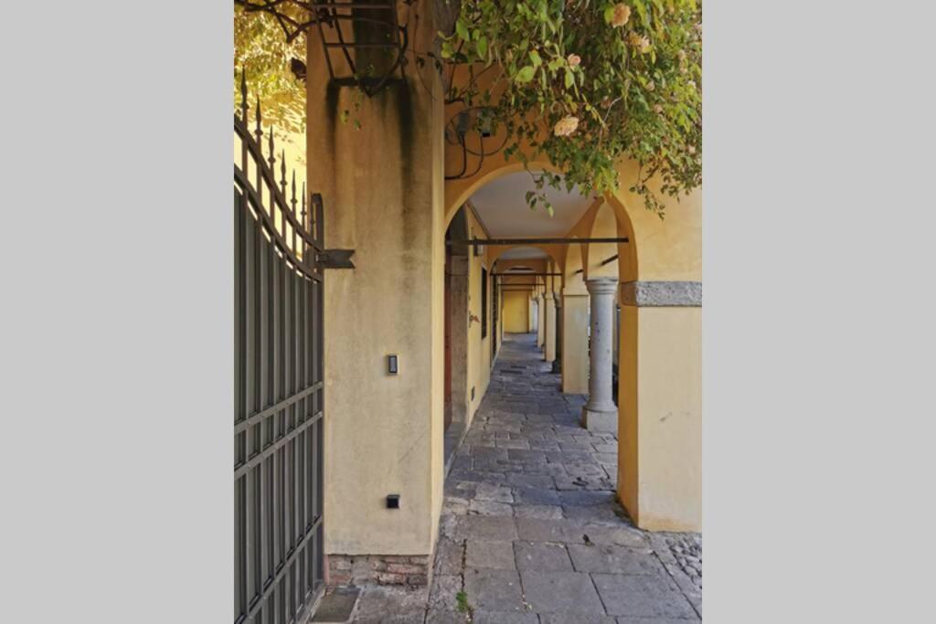 Bilocale Ampio E Luminoso Nella Antica Appartamento *